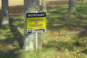 Coroplast Yard Signs